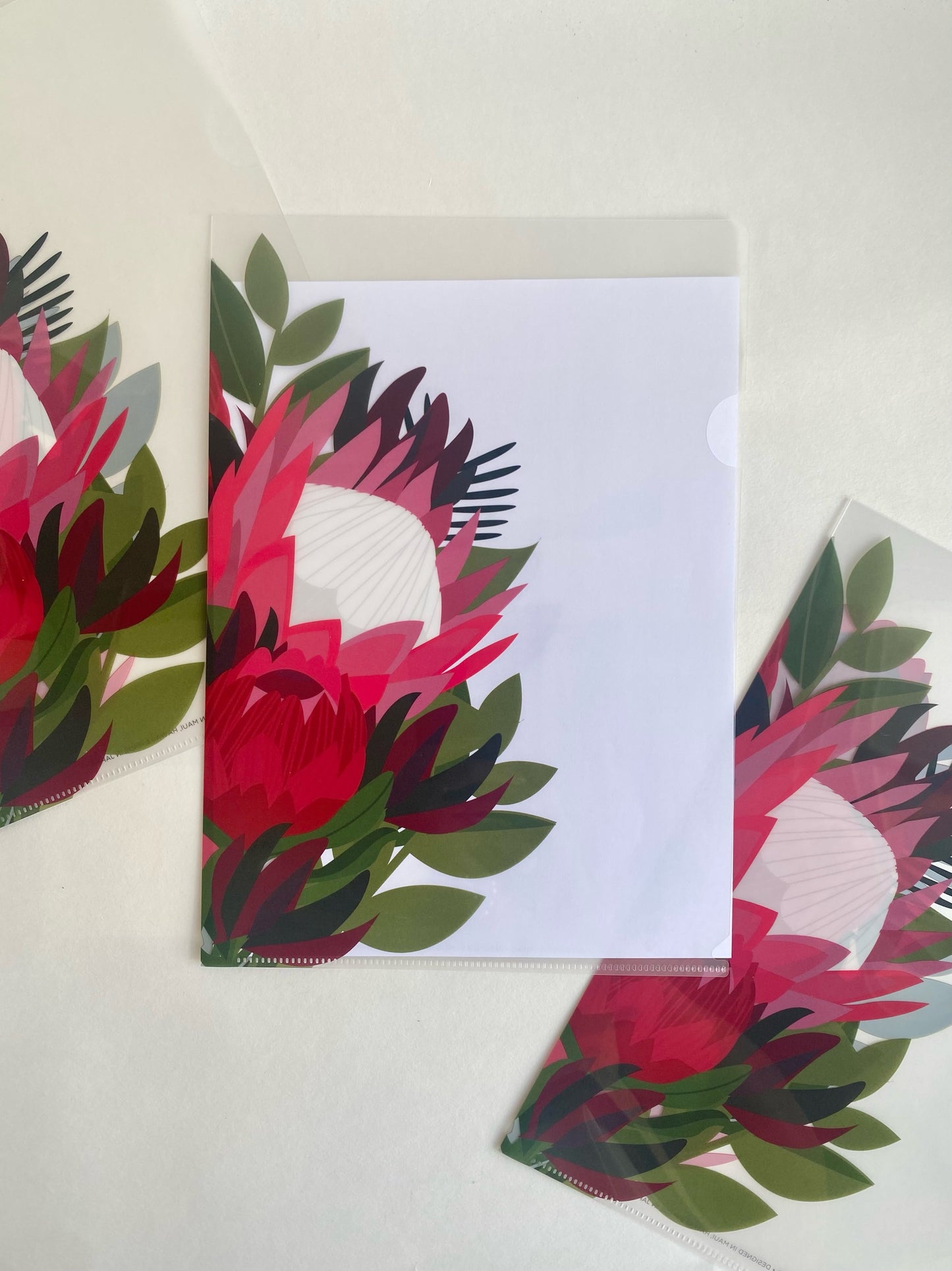 Protea Plastic Folder