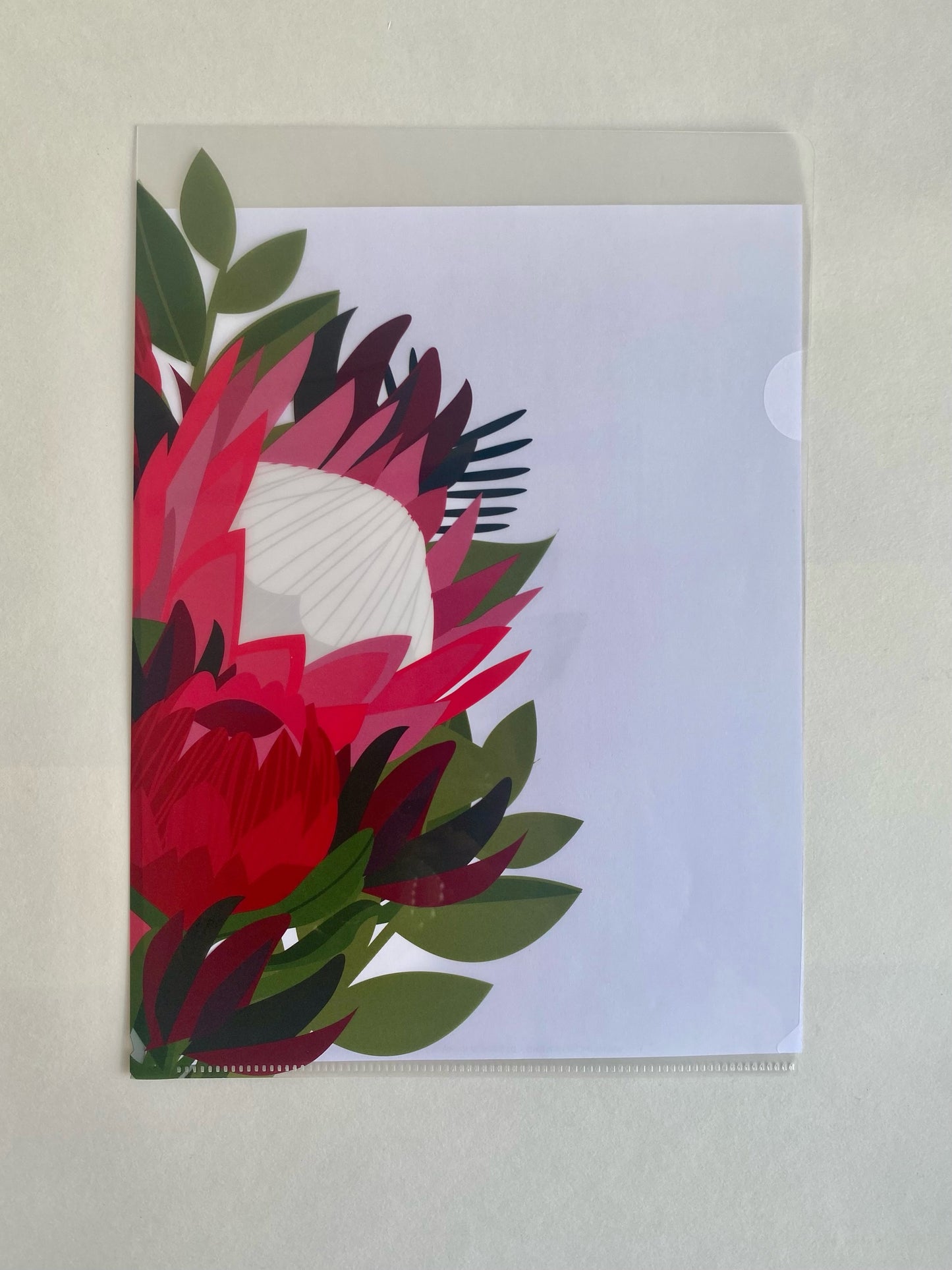 Protea Plastic Folder