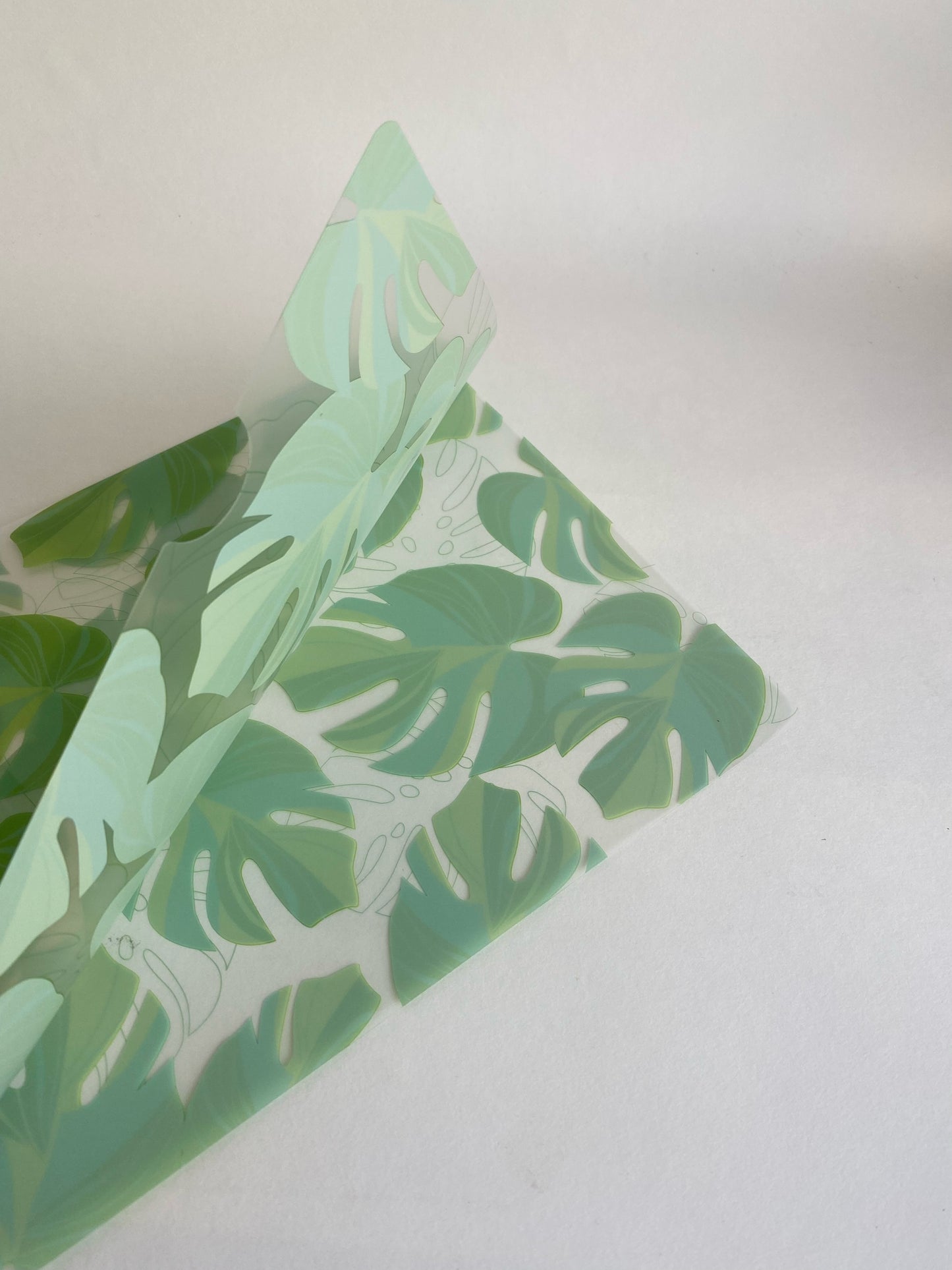 Monstera Plastic Folder