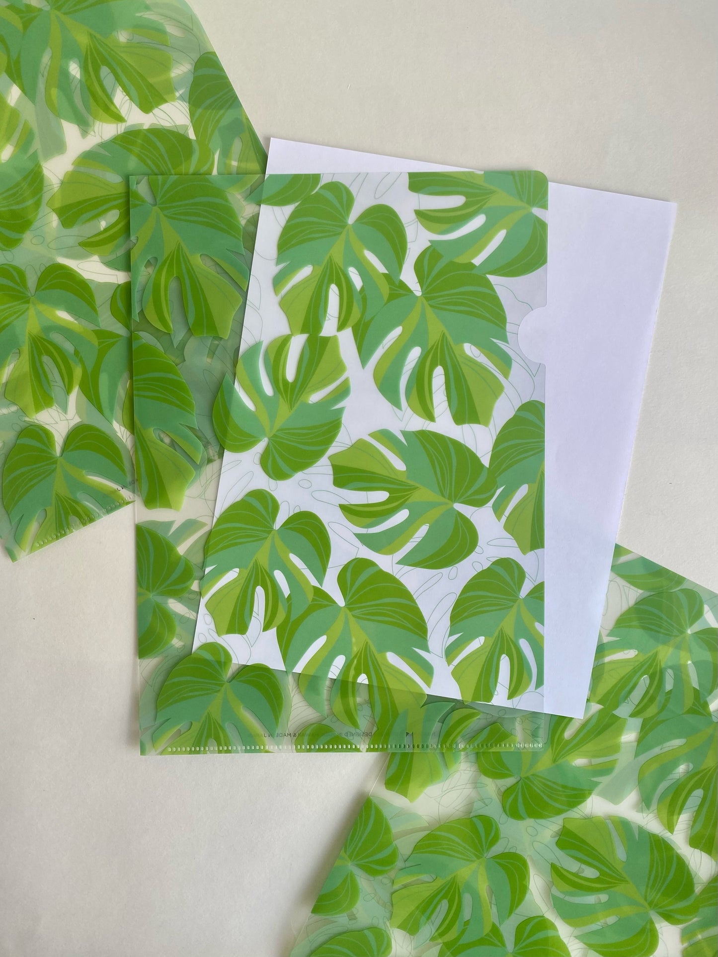 Monstera Plastic Folder