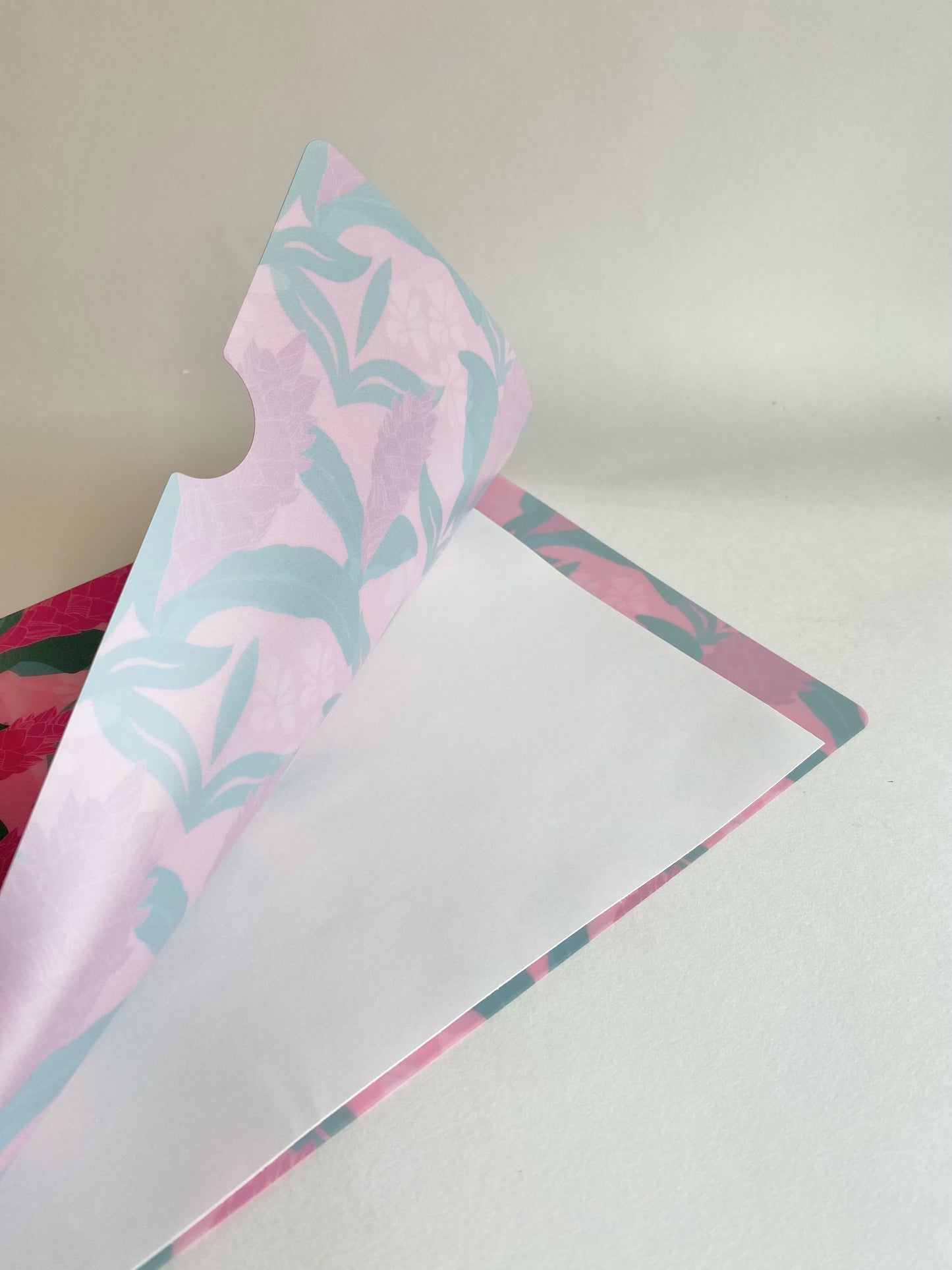 Ginger Plastic Folder