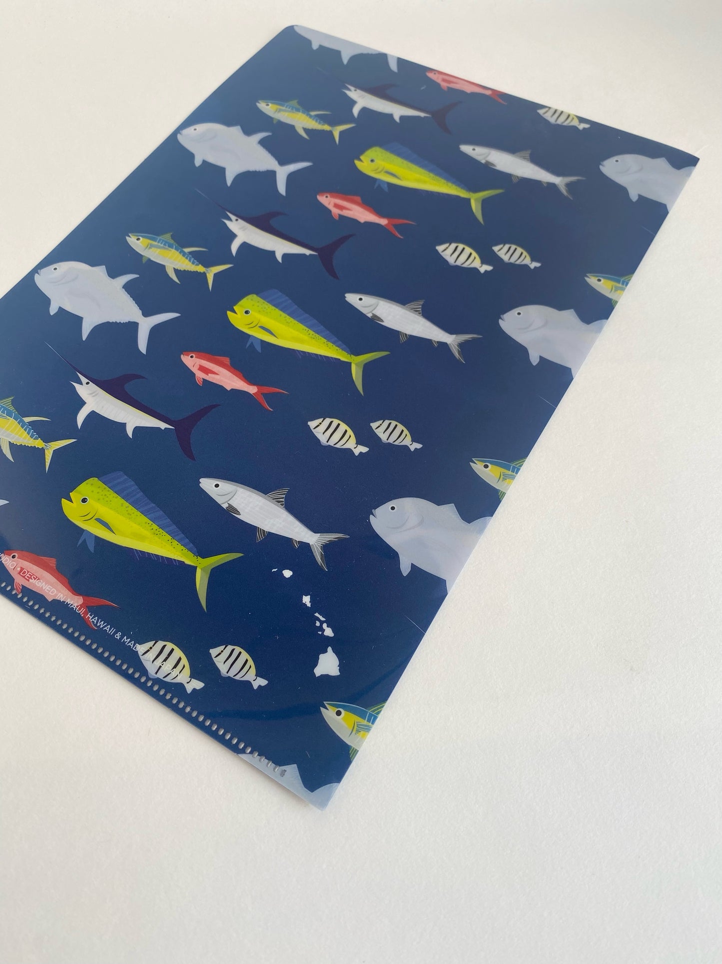 Fish Plastic Folder